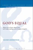 God's Equal (eBook, PDF)