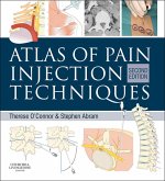 Atlas of Pain Injection Techniques E-Book (eBook, ePUB)