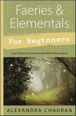 Cover Faeries & Elementals for Beginners (eBook, ePUB)