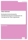 Hydraulisch-hydrochemische Charakterisierung der Grundwasser im Untergrund der Stadt Oppenheim (eBook, PDF)