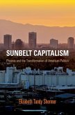 Sunbelt Capitalism (eBook, ePUB)