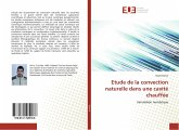 Etude de la convection naturelle dans une cavité chauffée