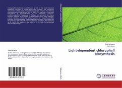 Light-dependent chlorophyll biosynthesis