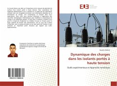 Dynamique des charges dans les isolants portés à haute tension - Bédoui, Hassène