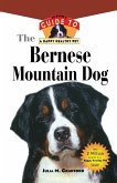 Bernese Mountain Dog