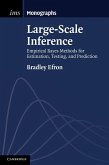 Large-Scale Inference (eBook, ePUB)