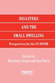 Disasters and the Small Dwelling (eBook, PDF)