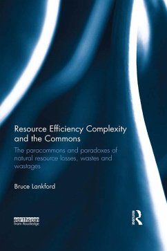 Cover Resource Efficiency Complexity and the Commons (eBook, ePUB)