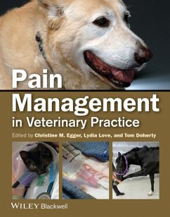 Pain Management in Veterinary Practice (eBook, ePUB)