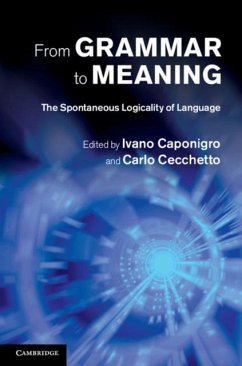 Cover From Grammar to Meaning (eBook, PDF)