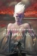 The Final Now (eBook, ePUB) - Bild 1