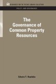 The Governance of Common Property Resources (eBook, PDF)