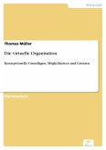 Die virtuelle Organisation (eBook, PDF)