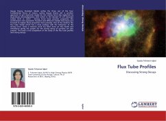 Flux Tube Profiles - Iqbal, Syeda Tehreem