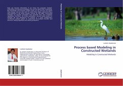 Process based Modeling in Constructed Wetlands