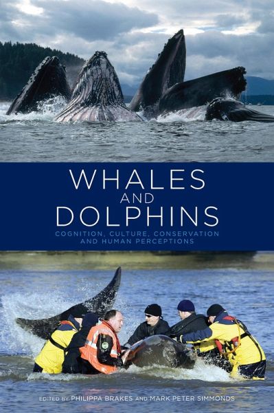 Whales and Dolphins (eBook, PDF) Whales and Dolphins (eBook, PDF)