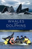 Whales and Dolphins (eBook, ePUB)