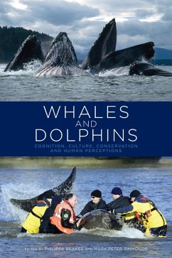 Whales and Dolphins (eBook, ePUB)