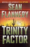Trinity Factor (eBook, ePUB)