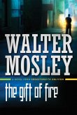 The Gift of Fire (eBook, ePUB)