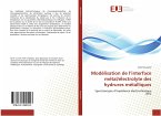 Modélisation de l¿interface métal/électrolyte des hydrures métalliques