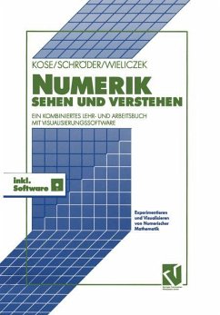 Numerik sehen und verstehen - Schröder, Rolf;Kose, Kim;Wieliczek, Kornel