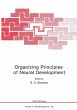 Organizing Principles of Neural... - Bild 1