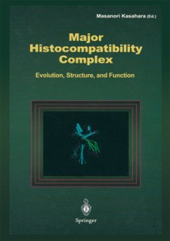 Major Histocompatibility Complex