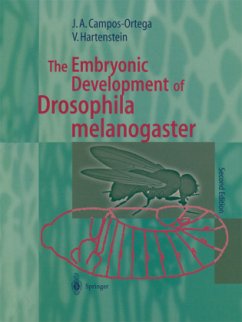 The Embryonic Development of Drosophila melanogaster - Campos-Ortega, Jose A.;Hartenstein, Volker