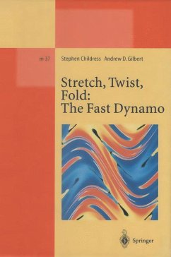 Stretch, Twist, Fold: The Fast Dynamo - Childress, Stephen;Gilbert, Andrew D.