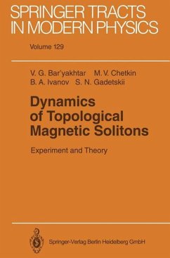 Dynamics of Topological Magnetic Solitons - Bar'yakhtar, Victor G.;Chetkin, Mikhail V.;Ivanov, Boris A.