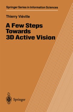 A Few Steps Towards 3D Active Vision - Vieville, Thierry