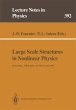 Large Scale Structures in Nonlinear... - Bild 1