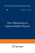 New Phenomena in Lepton-Hadron Physics - Bild 1