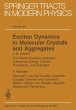 Exciton Dynamics in Molecular Crystals... - Bild 1