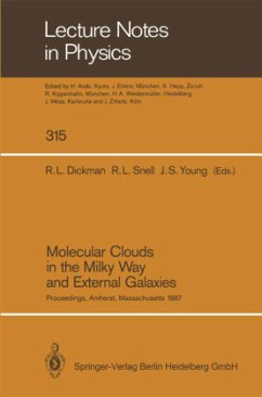 Molecular Clouds in the Milky Way and External Galaxies