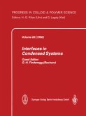 Interfaces in Condensed Systems