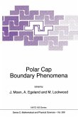 Polar Cap Boundary Phenomena