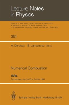 Cover Numerical Combustion