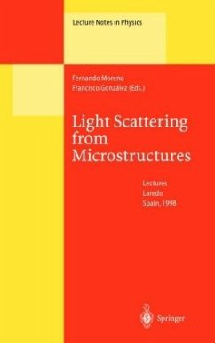 Light Scattering from Microstructures