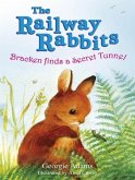 Railway Rabbits: Bracken Finds a Secret Tunnel (eBook, ePUB)