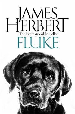 Fluke (eBook, ePUB) - Herbert, James