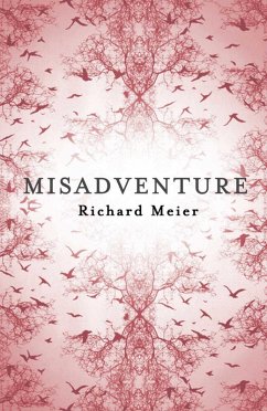 Misadventure (eBook, ePUB) - Meier, Richard