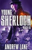 Young Sherlock Holmes: Black Ice (eBook, ePUB)