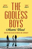 Godless Boys (eBook, ePUB)