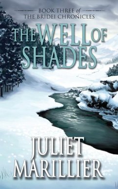 The Well of Shades (eBook, ePUB) - Marillier, Juliet