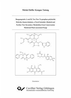 Bangangstatin A and B, Two New Tryptophan-polyketide Hybrids, Kamerchalasin, a Novel Isoindole Alkaloid and Further New Secondary Metabolites from Cameroonian Medicinal Plant-associated Fungi - Kongue Tatong, Michel Deffer