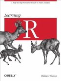 Learning R (eBook, PDF)