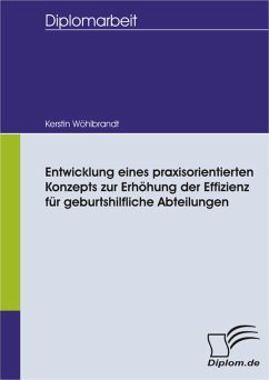 Entwicklung eines praxisorientierten Konzepts zur Erhöhung der Effizienz für geburtshilfliche Abteilungen (eBook, PDF) - Wöhlbrandt, Kerstin