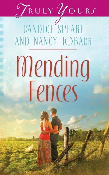 Mending Fences (eBook, ePUB)